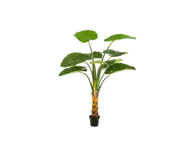 Kunstplant Alocasia 160cm