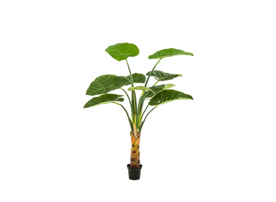 Plante artificielle Alocasia 160cm