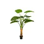 Kunstplant Alocasia 160cm