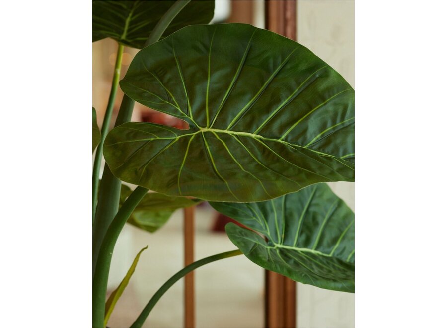 Kunstplant Alocasia 90cm