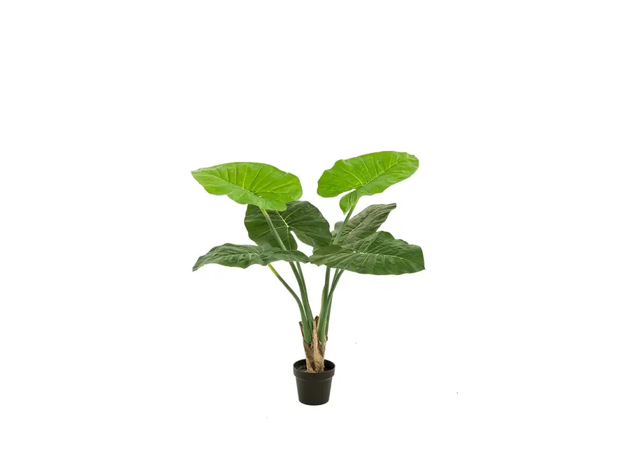 Kunstplant Alocasia 90cm