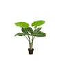 Kunstplant Alocasia 90cm
