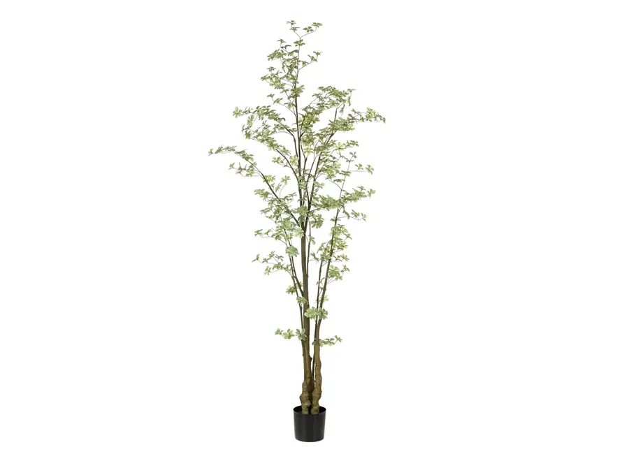Künstliche Pflanze Tropaeolum speciosum 245cm - green