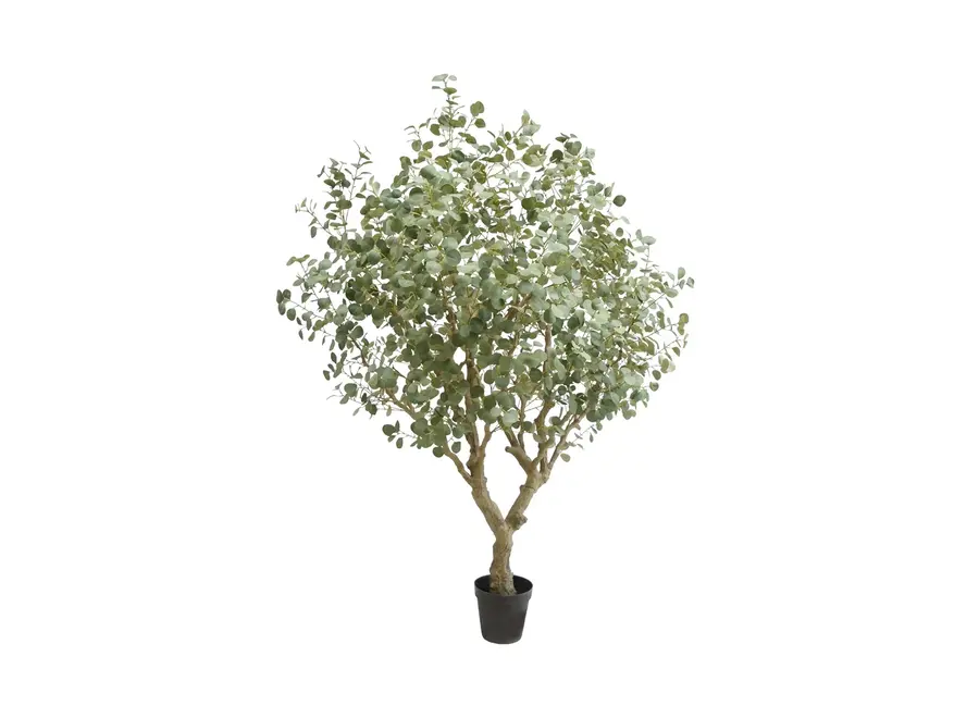 Artificial Eucalyptus Tree 240cm