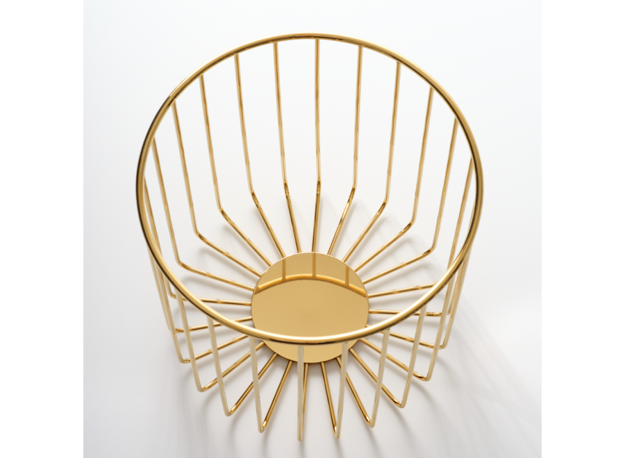 Poubellerequin 'Mikado' - Gold