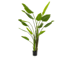 wisteria willow Chroma Candle main image 1