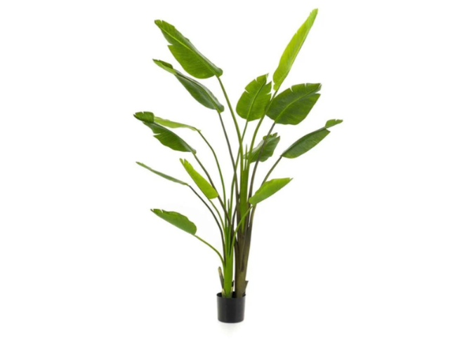 Kunstpflanze Strelitzia Nicolai 180cm