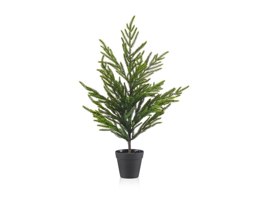 Artificial tree 'Norfolk pine'