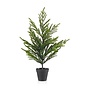 Kunstboom 'Norfolk pine'