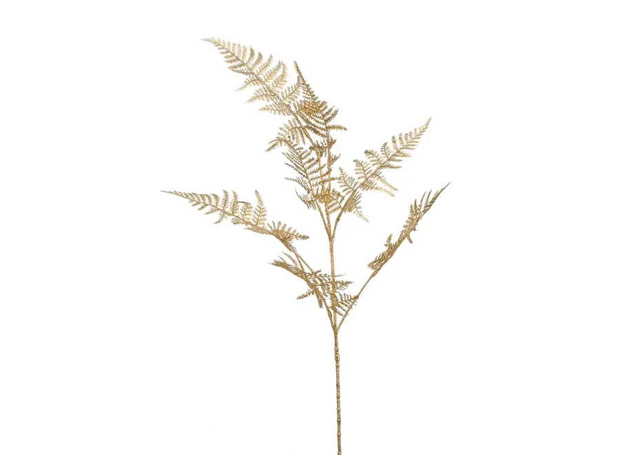 Kunsttakken Asparagus set van 2 - Gold