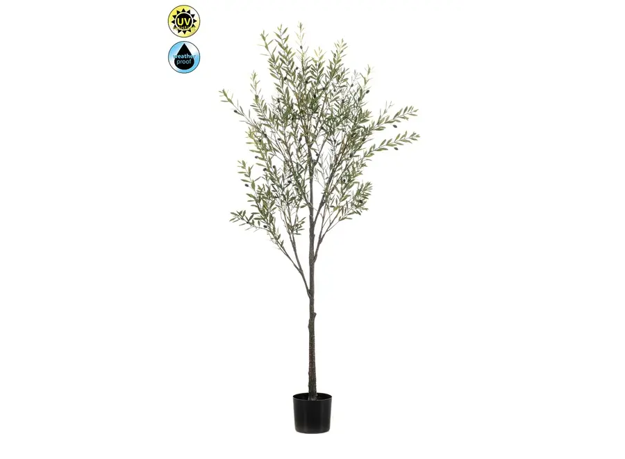 Outdoor Kunst Olijfboom 175cm - UV