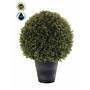 Outdoor Artificial Boxwood D50cm - UV