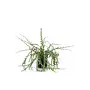 Plante artificielle Epiphyllum 50 cm - green