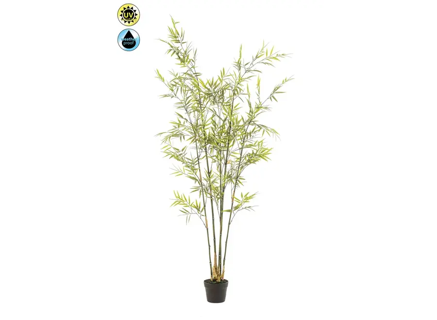 Outdoor Bamboo boom 175cm - UV