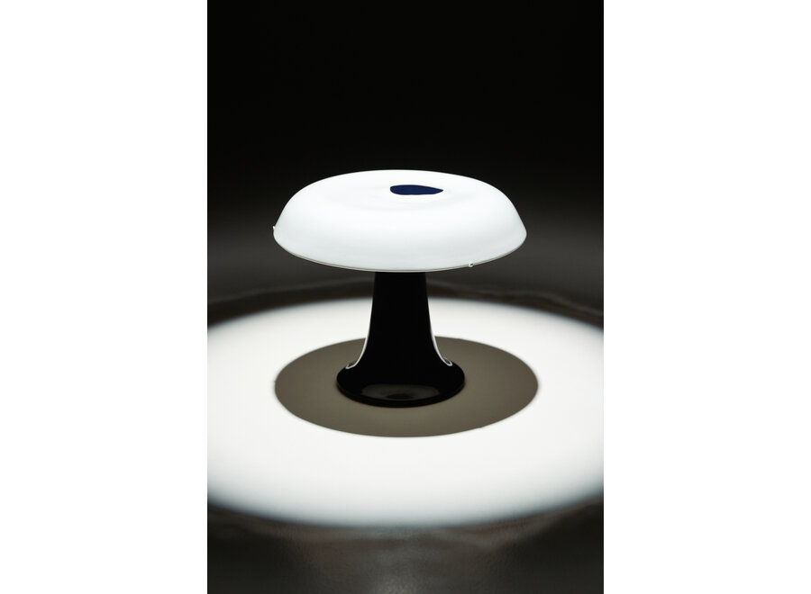 Anita Le Grelle - Terres de rêves - Celine tafel lamp N°3