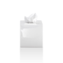 Tissue box 'Porzellan'  - KB89 - Porcelaine White