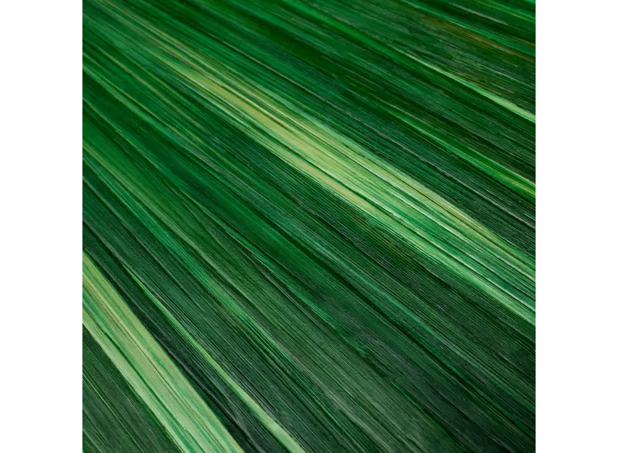 Luxe bewaardoos 'Harvard' - Green
