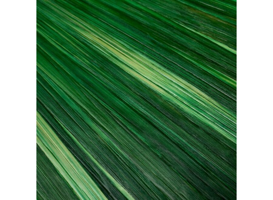 Schreibtisch-Tablett 'Harvard' - S - Green