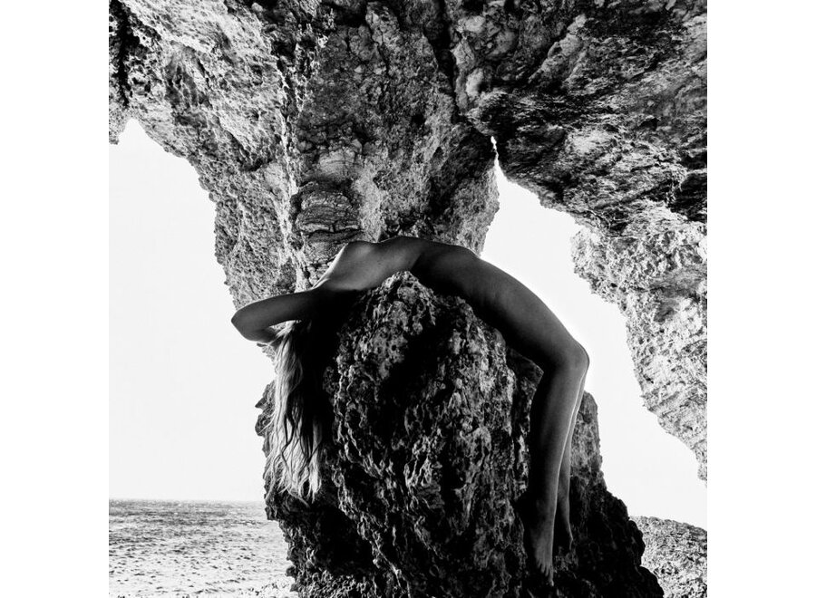 Print Philippe Vogelenzang - Surrender