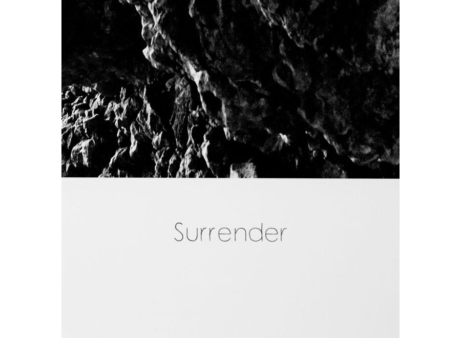 Print Philippe Vogelenzang - Surrender
