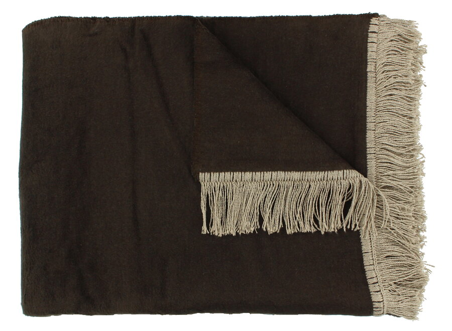 Plaid Paulos Chocolate