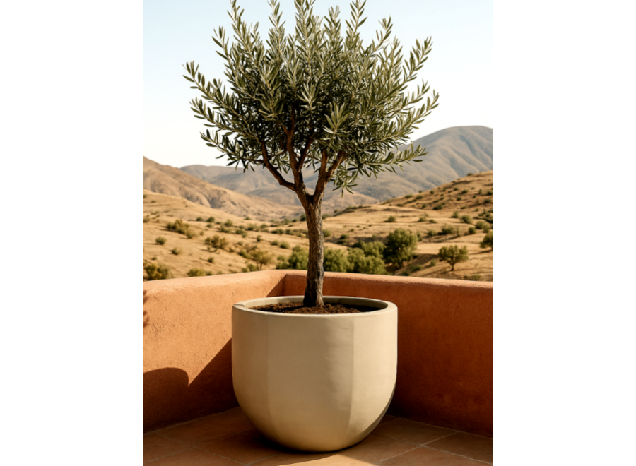 Plantenbak 'Bali' Sand - L