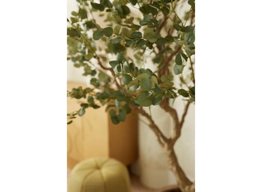 Kunst Eucalyptusboom 240cm