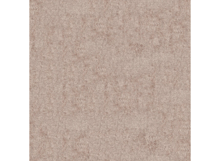 Vloerkleed 'Lake' - 200x300 - Mocha