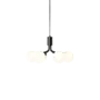 Pendant lamp Apiales 6 - Satin black - Opal
