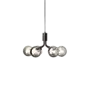 Hängelampe Apiales 6 - Satin black- Optic smoked