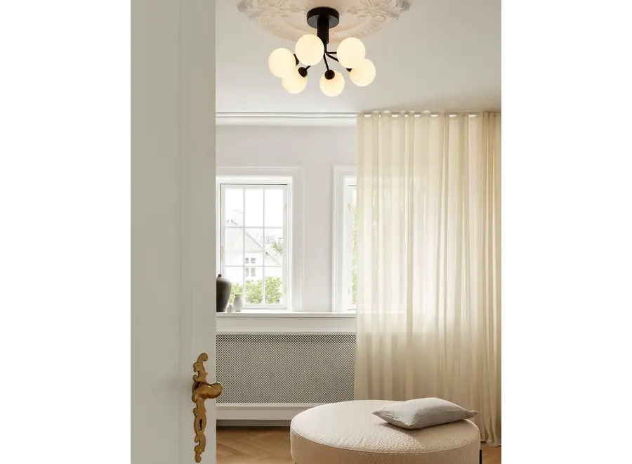 Ceiling lamp Apiales 6 - Satin black - Opal