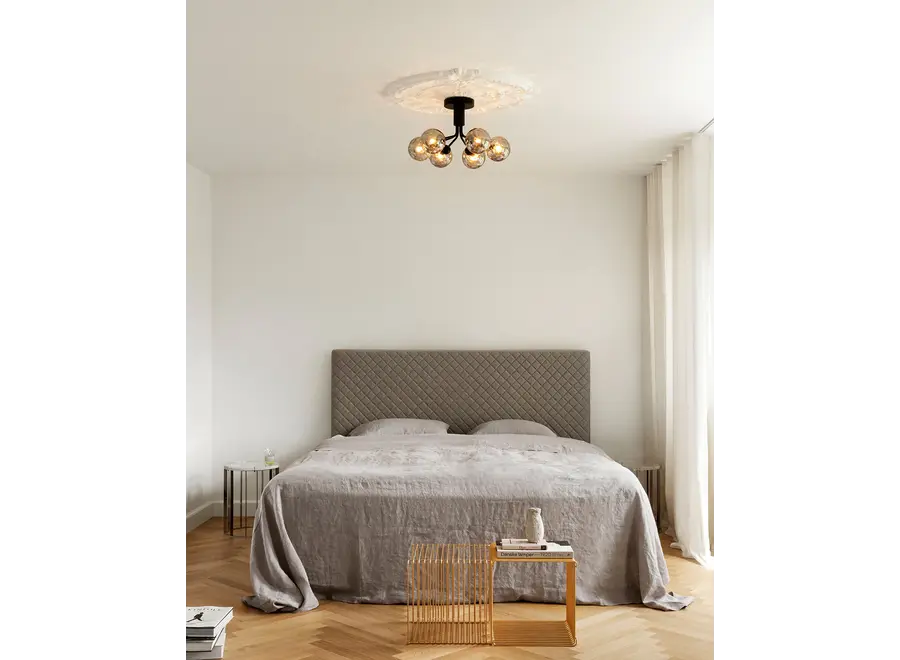 Plafondlamp Apiales 6 - Satin black - Optic smoked