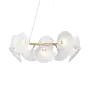 Plafondlamp Petalii 10 - White - Polished brass