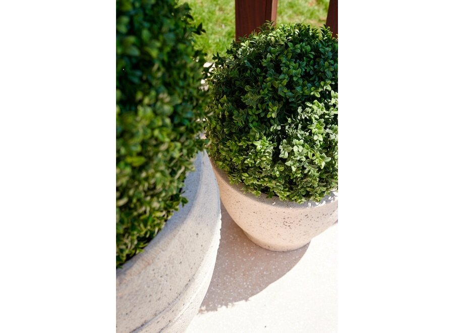 Outdoor Artificial Boxwood D50cm - UV