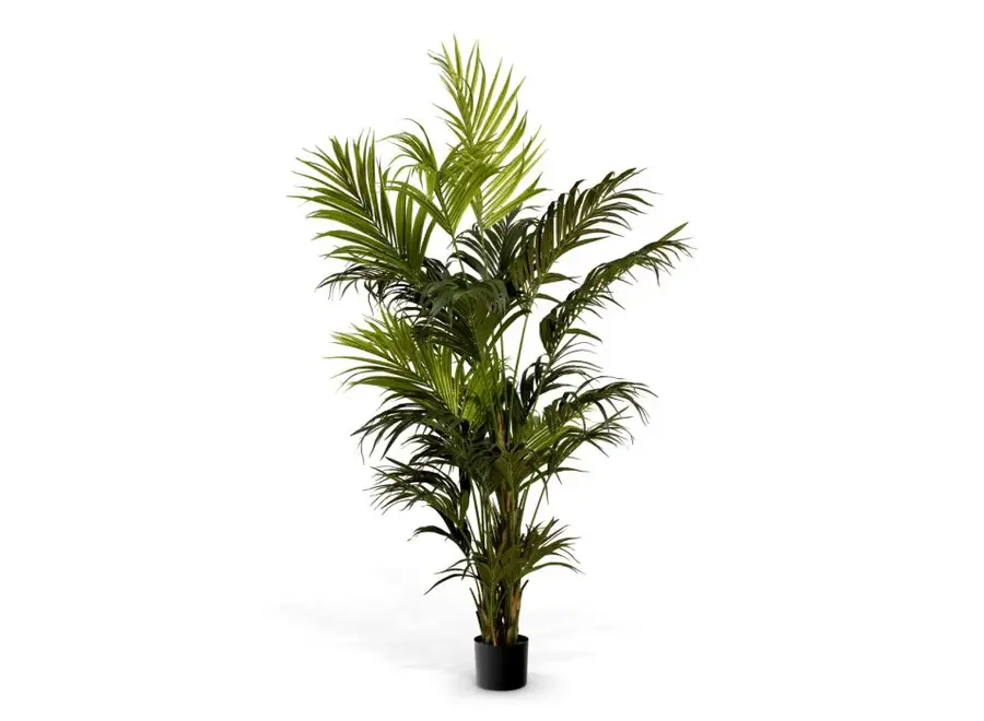 Plante artificielle Kentia - Palm