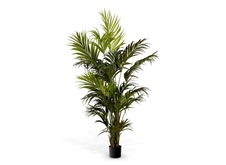 Plante artificielle 'Kentia' - Palm
