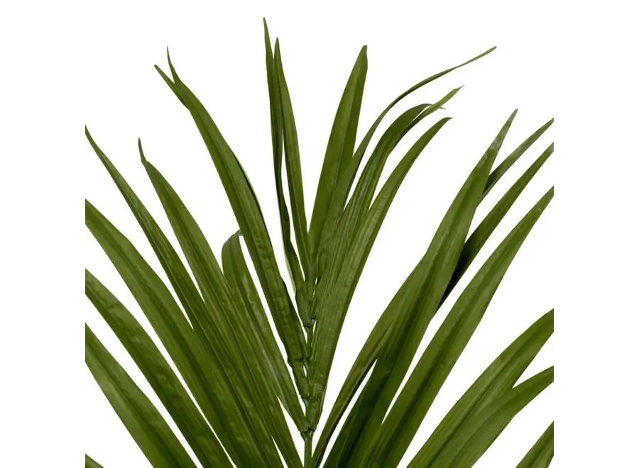Plante artificielle 'Kentia' - Palm