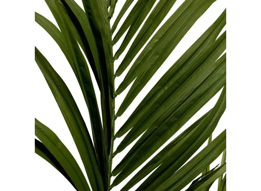 Plante artificielle 'Kentia' - Palm