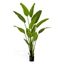 Kunstplant 'Strelitzia' - M