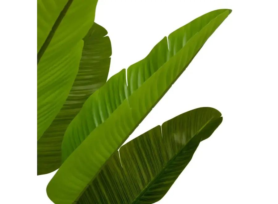 Artificial plant 'Strelitzia' - M