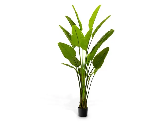 Artificial plant Strelitzia - L