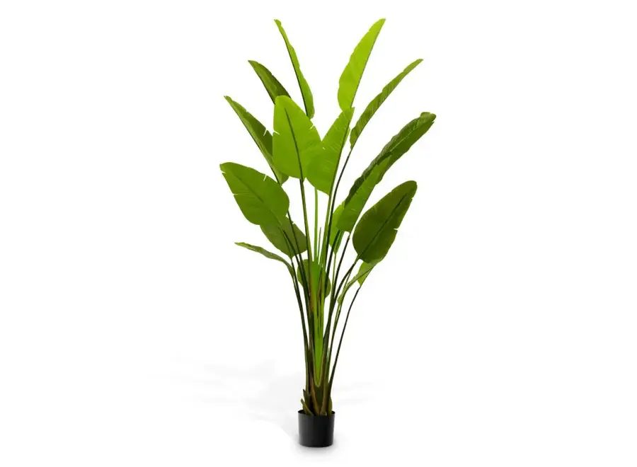 Plante artificielle 'Strelitzia' - L
