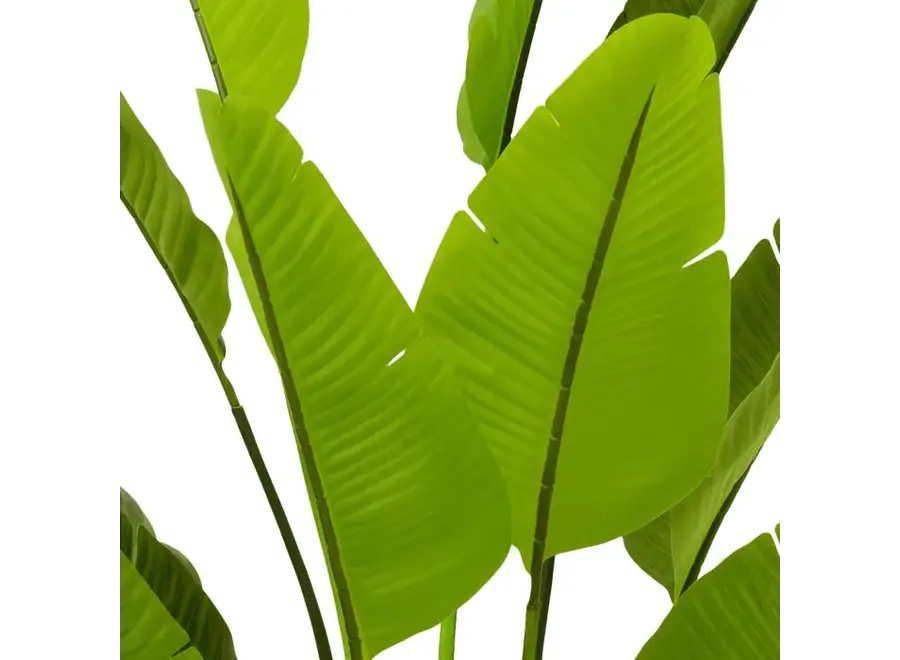 Artificial plant 'Strelitzia' - L