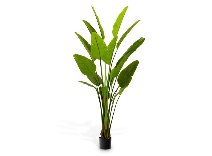 Plante artificielle 'Strelitzia' - L