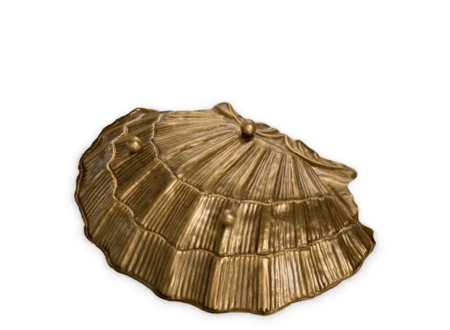 Bowl 'Seashell' - Vintage brass finish