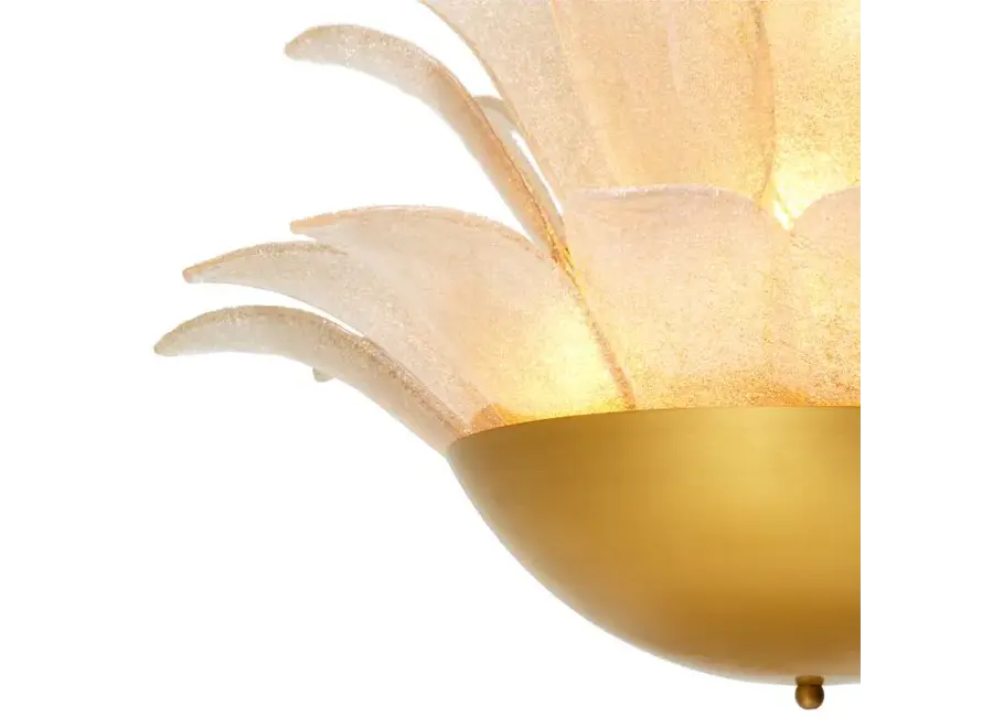 Lustre 'Melrose'