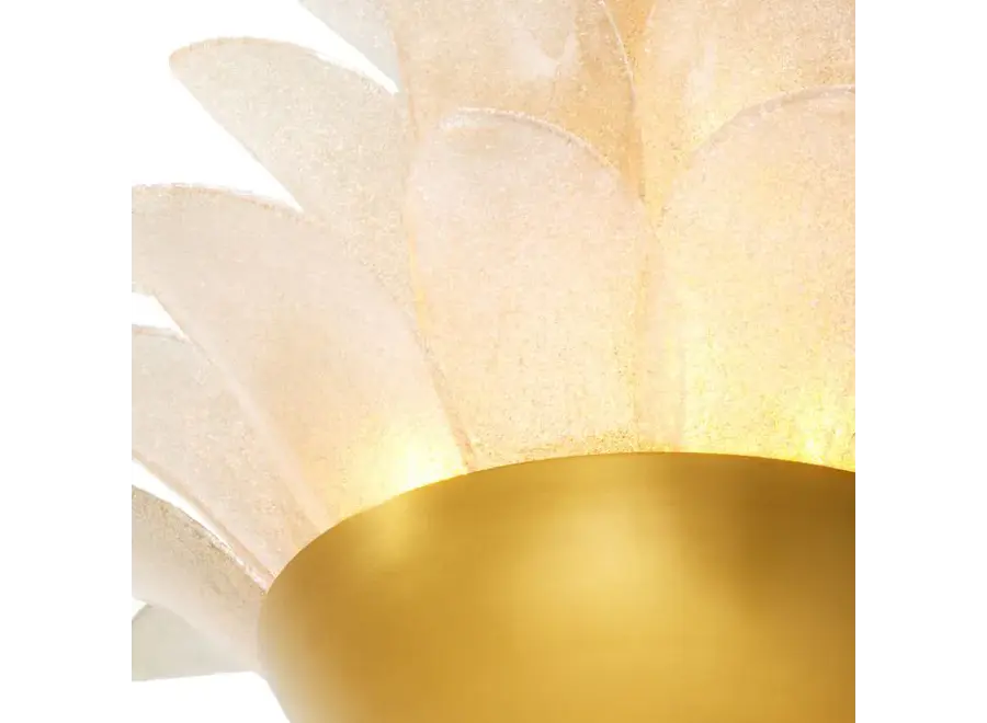 Lustre 'Melrose'