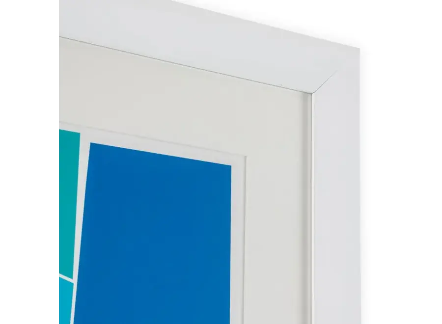 Print Henri Boissiè - Silkscreen from Boissière I