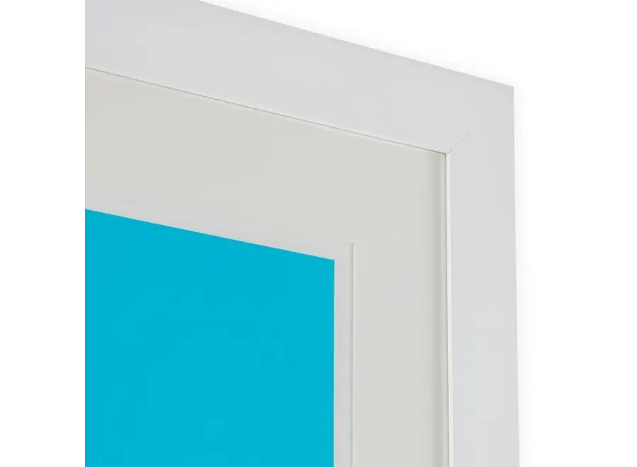 Print Henri Boissiè - Silkscreen from Boissière II