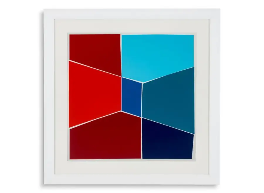Print Henri Boissiè - Silkscreen from Boissière II